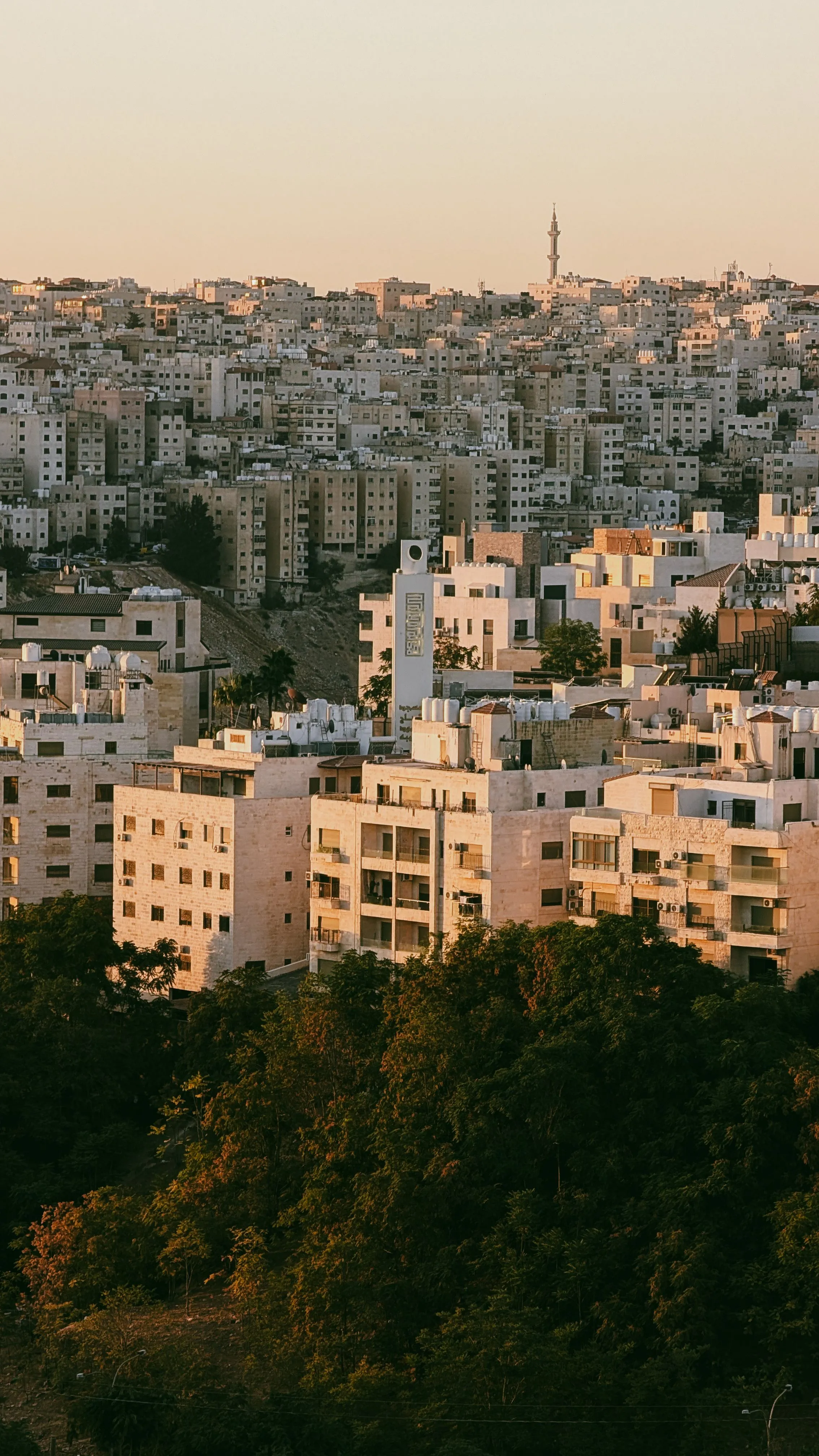The Amman skyline, the Abdali towers rising above dense low-rise housing that runs to the horizon.